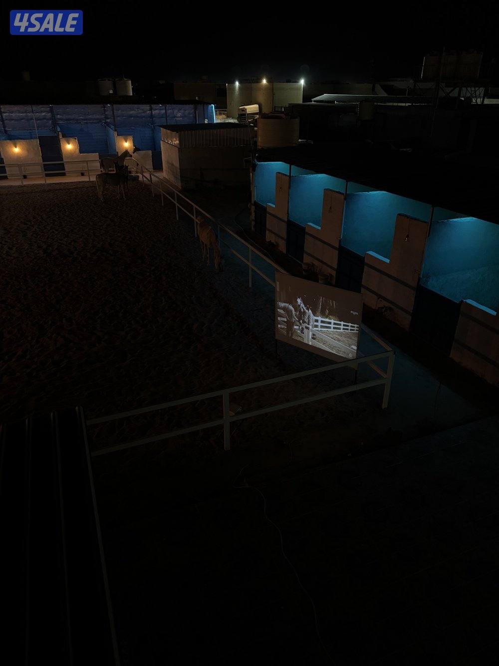 مربط المشهر9