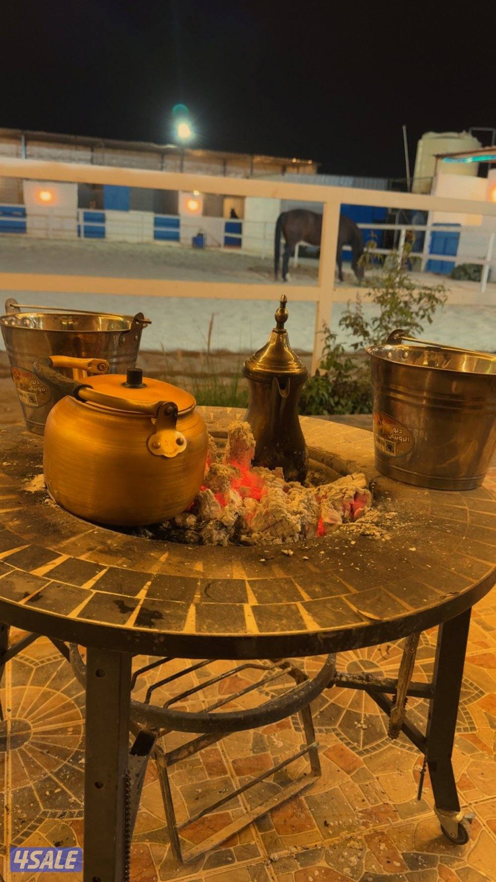 مربط المشهر10