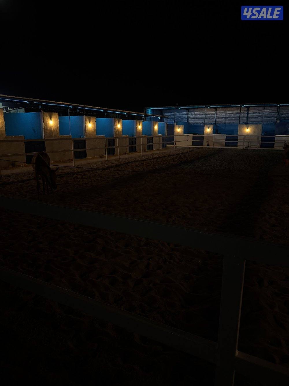 مربط المشهر11