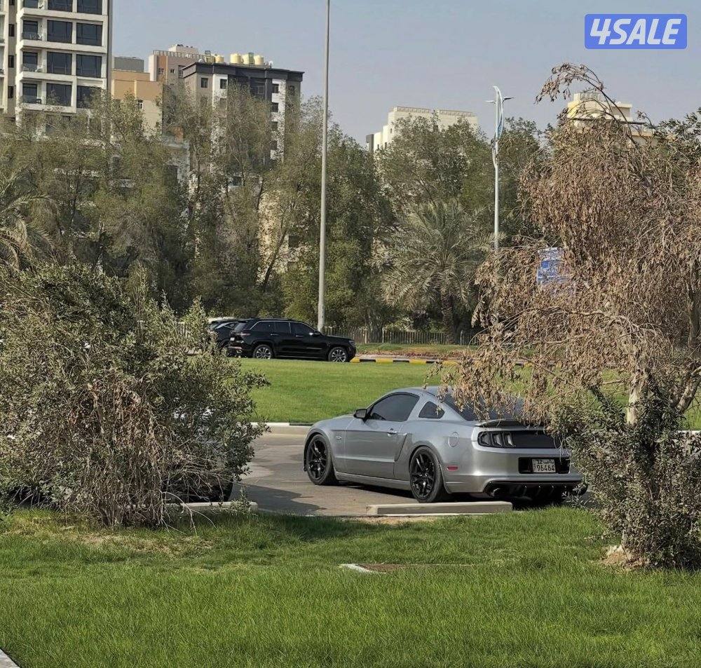 موستنق سبيشل كالفورنيا0