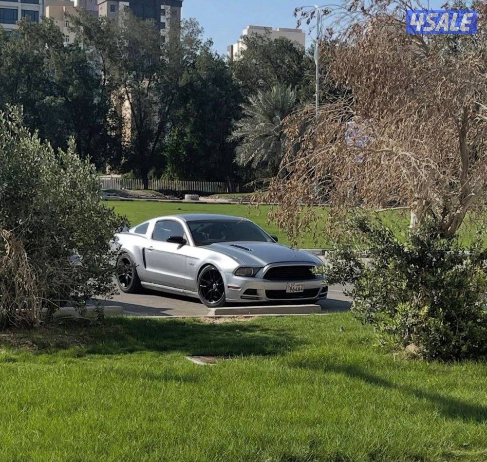 موستنق سبيشل كالفورنيا1