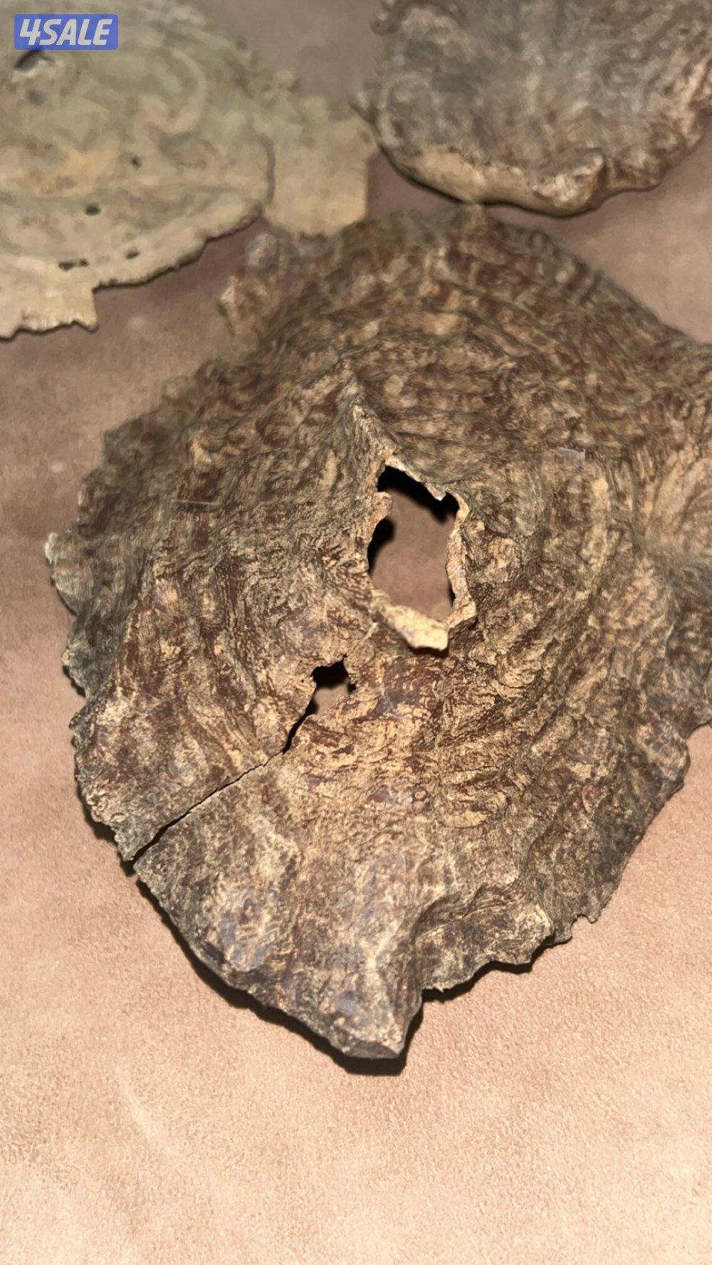 بخور چار قديم (زعفراني سويتي )0