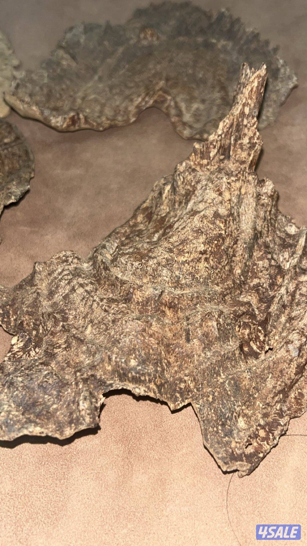 بخور چار قديم (زعفراني سويتي )1