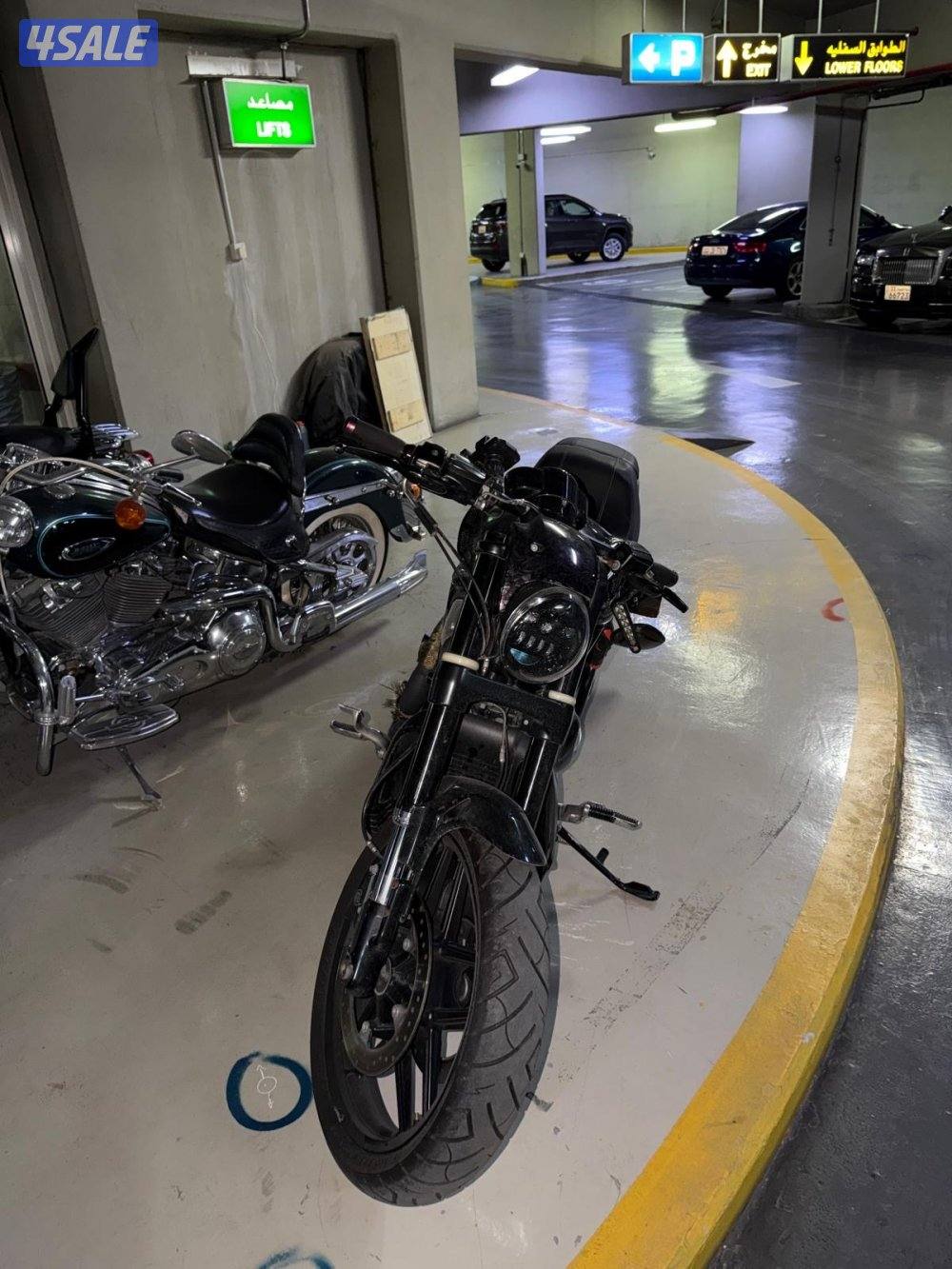 هارلي نايت رود1