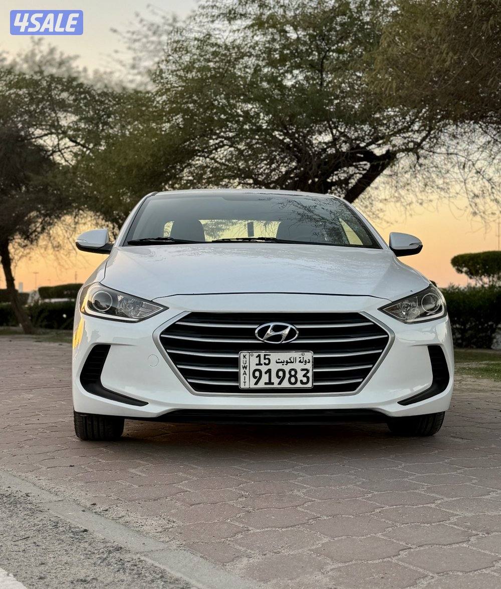 النترا 2018 صبغ الوكالة4