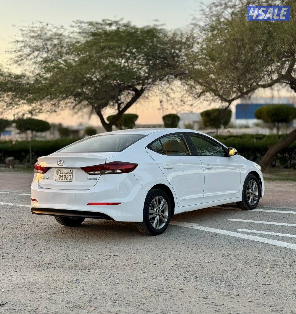 النترا 2018 صبغ الوكالة3