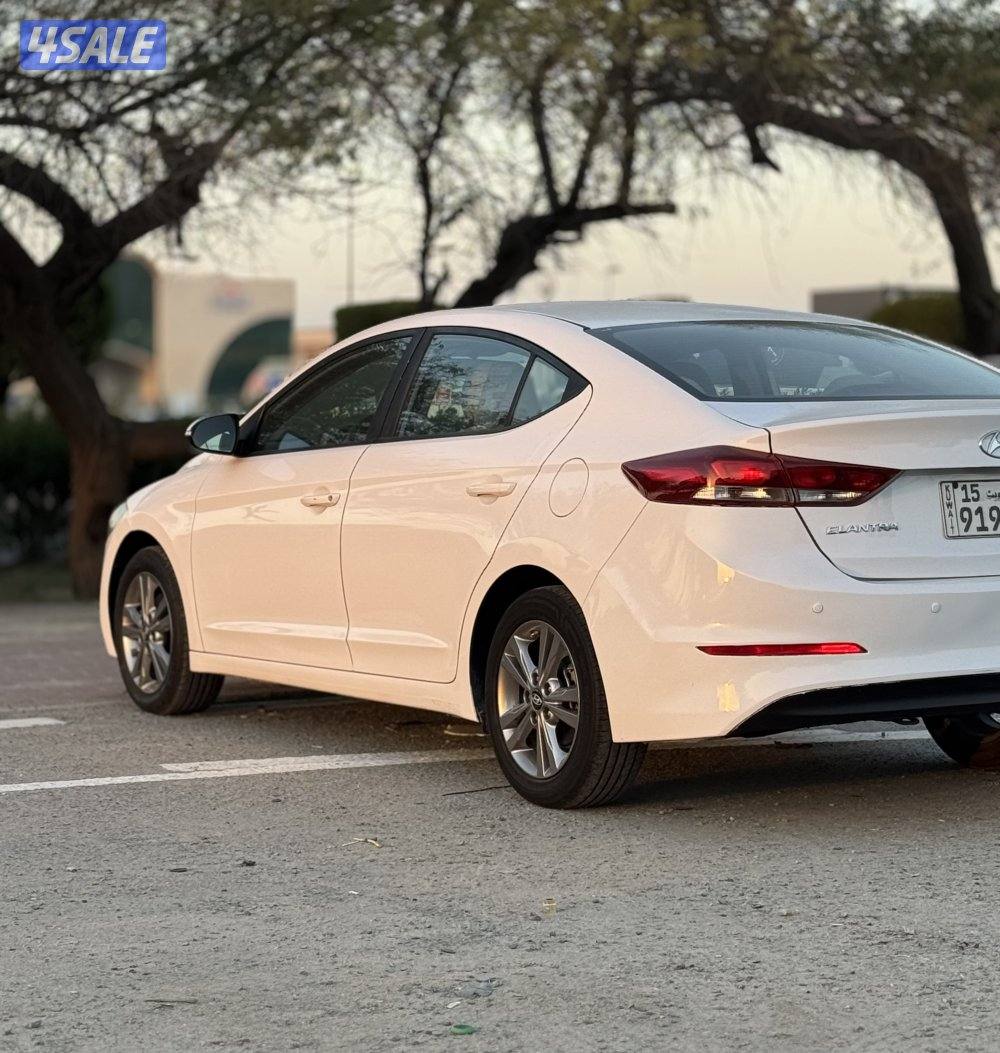 النترا 2018 صبغ الوكالة5