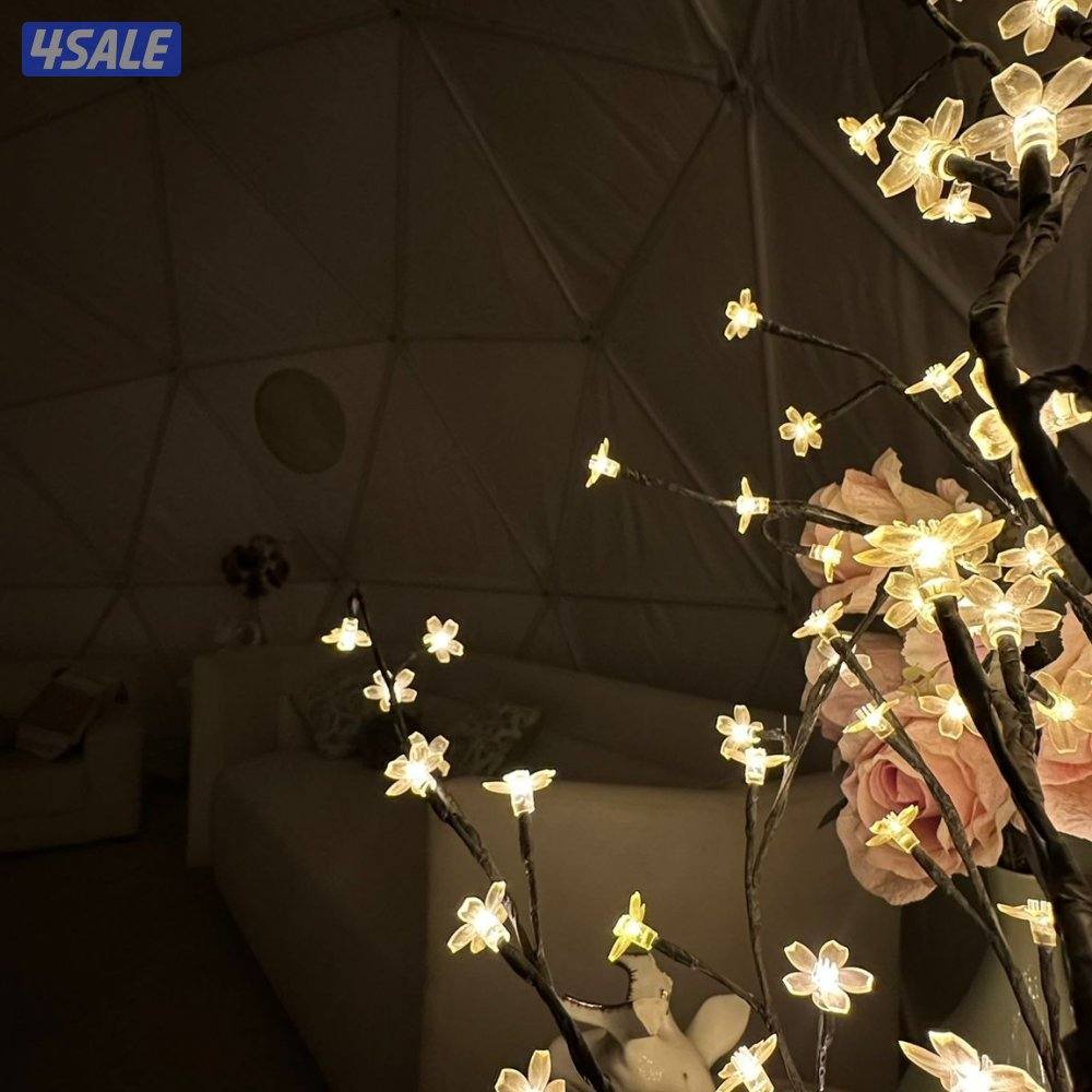 كشته كابوي ام الهيمان 🏕️🤠🐯❤️🇰🇼10