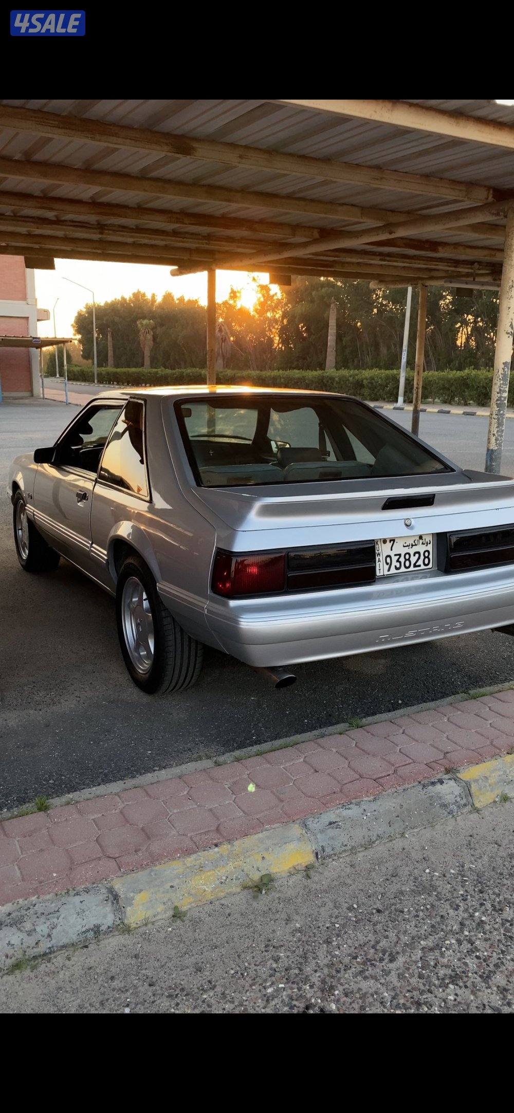 للبيع موسنتج هاج باق 19932