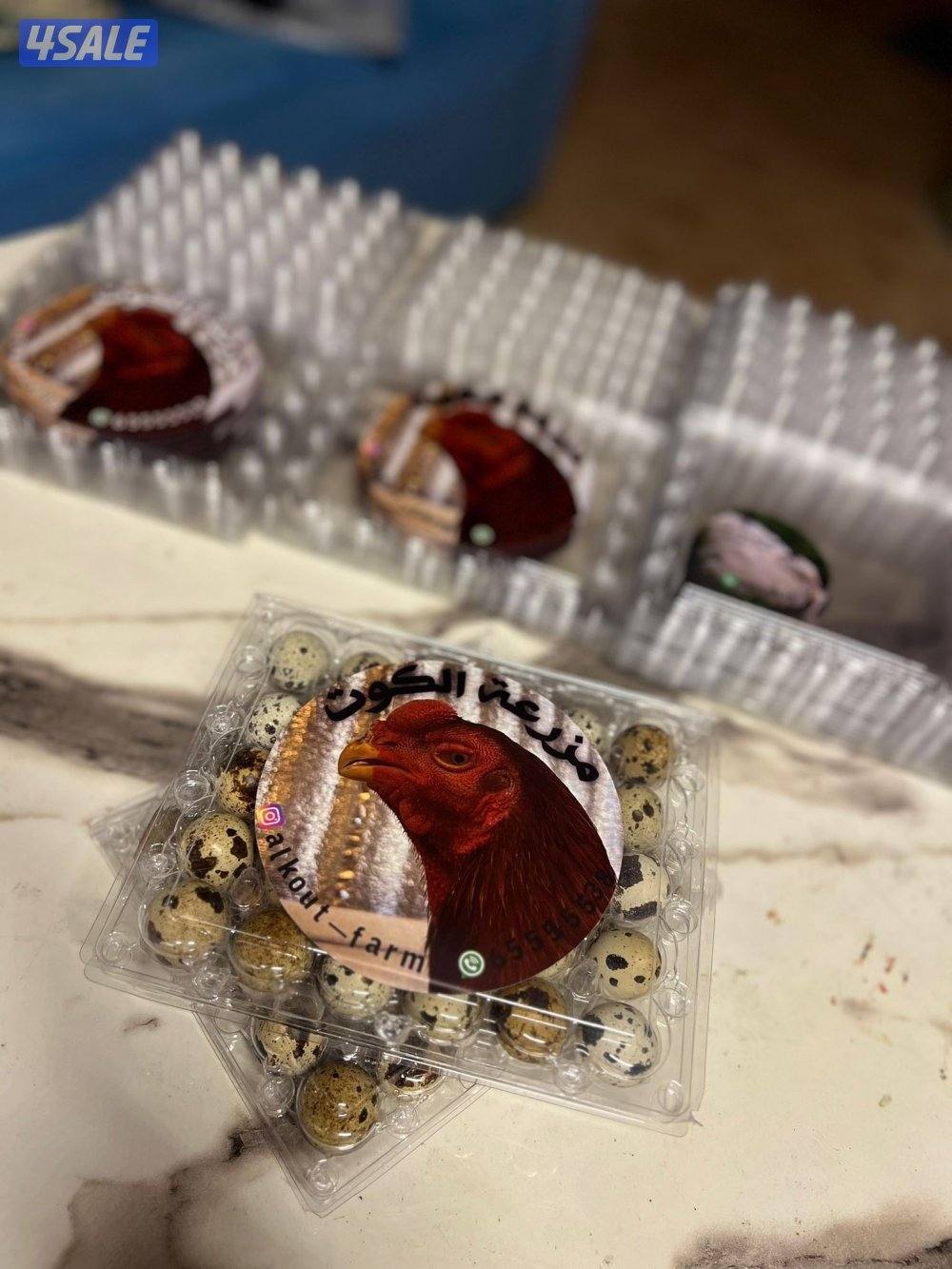 للبيع فري تكساس وبيض فري  جامبو السعر 3 يوجد خدمه توصيل 🚚 بسعر رمزي1