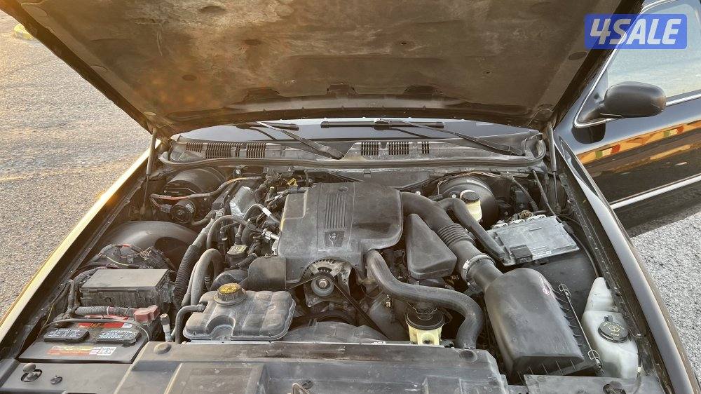 للبيع فود ماوكيز7