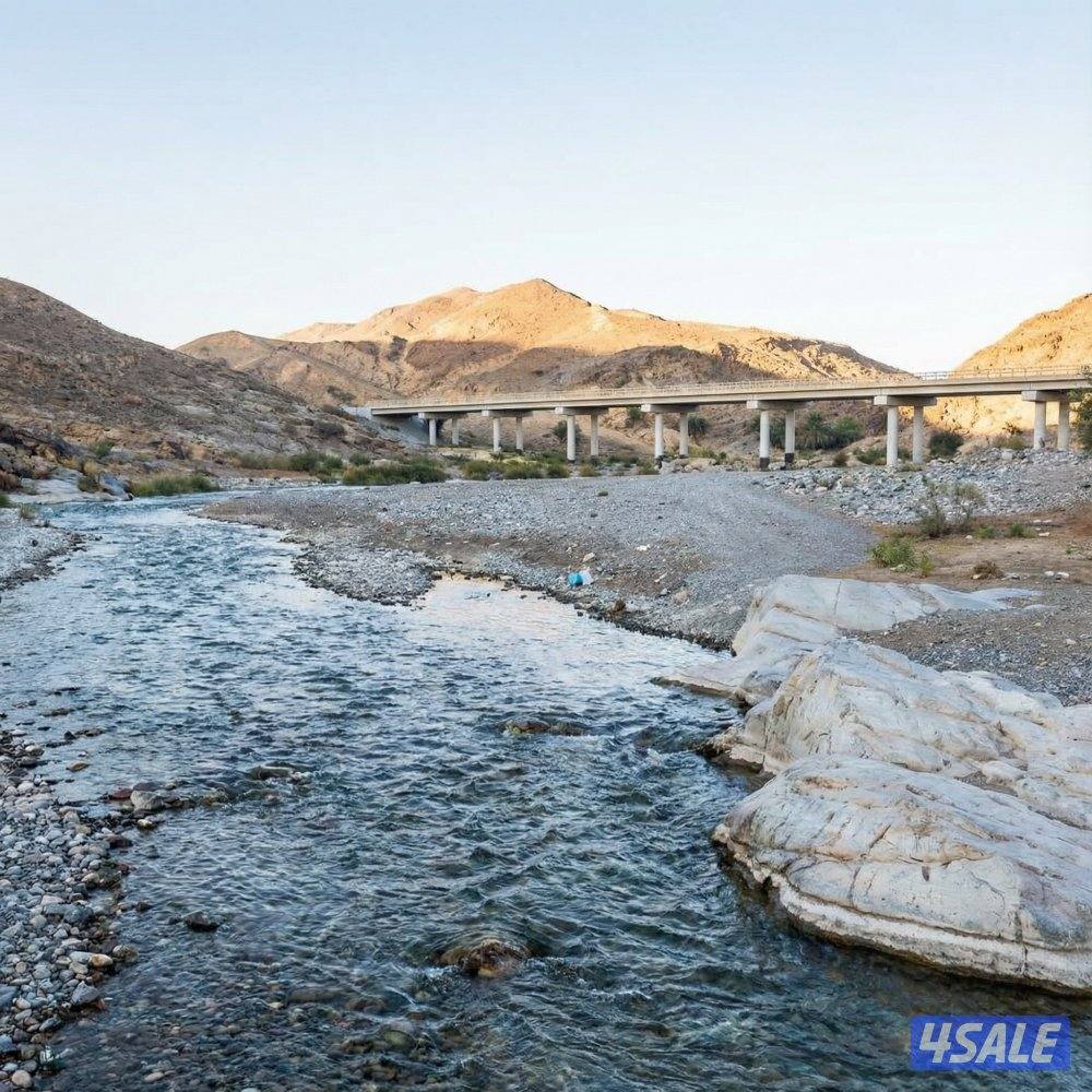 للبيع ارض ب عمان  ( مزرعة على شارع رئيسي دون جار )0