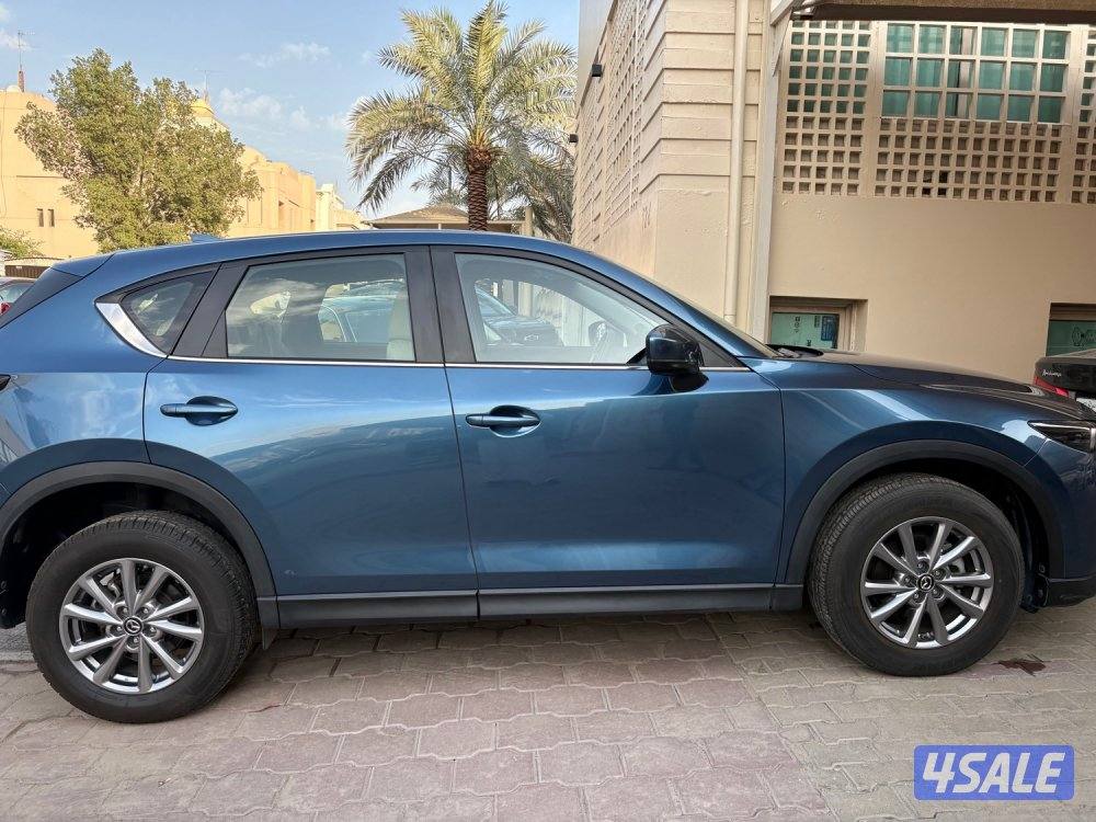 عداد 16 الف صبغ وكالة0