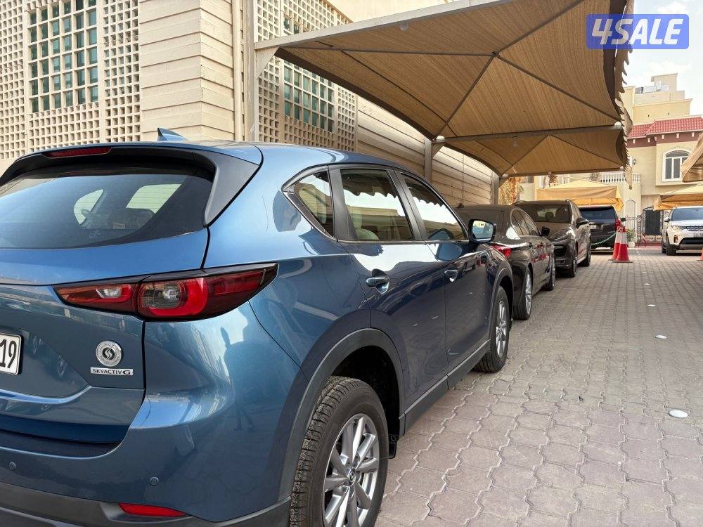 عداد 16 الف صبغ وكالة1