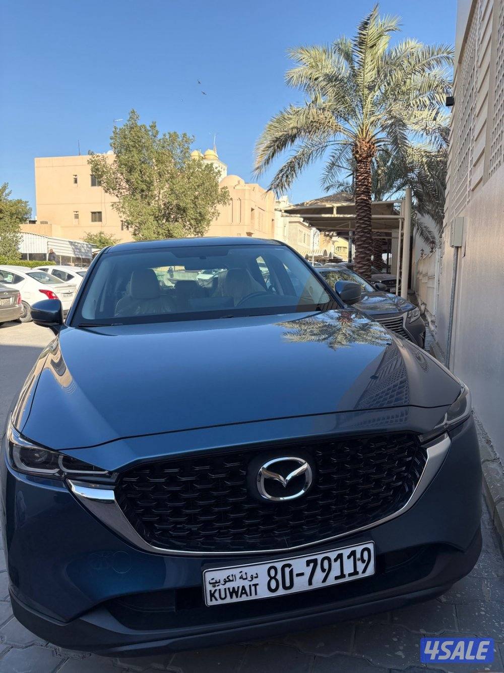 عداد 16 الف صبغ وكالة2