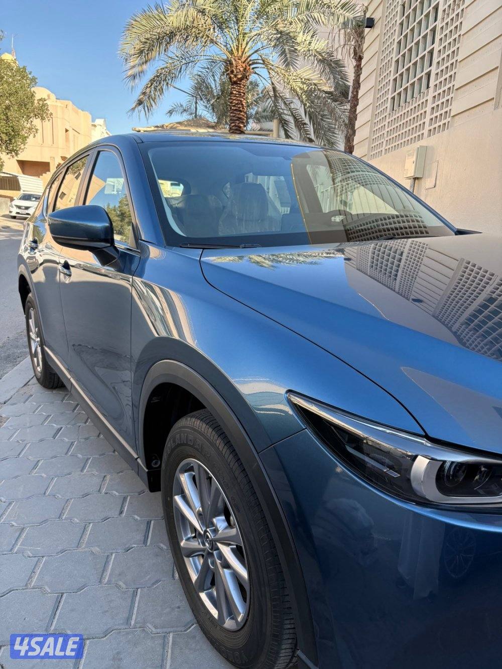 عداد 16 الف صبغ وكالة3