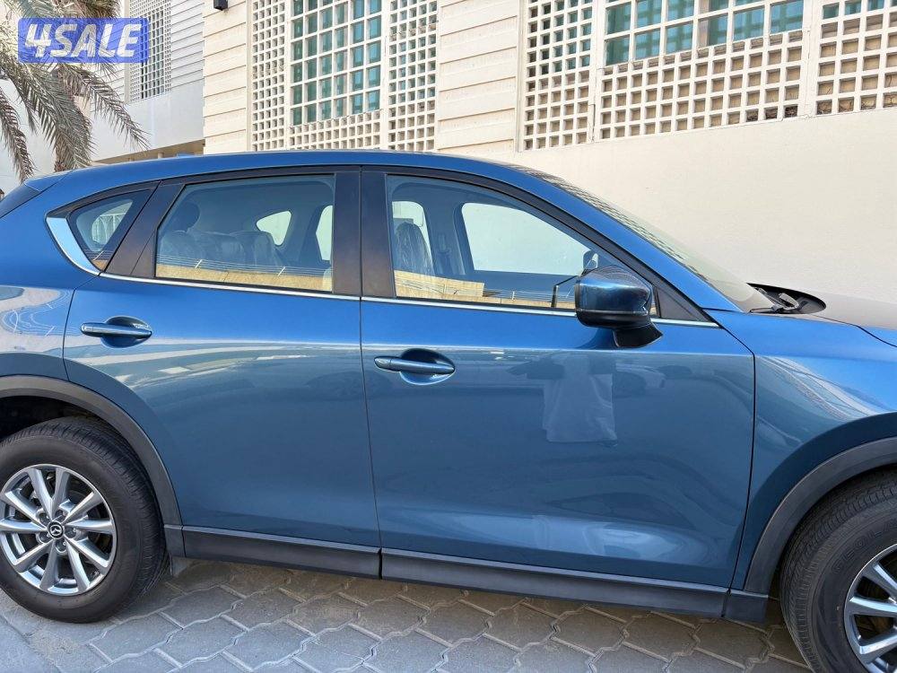 عداد 16 الف صبغ وكالة4