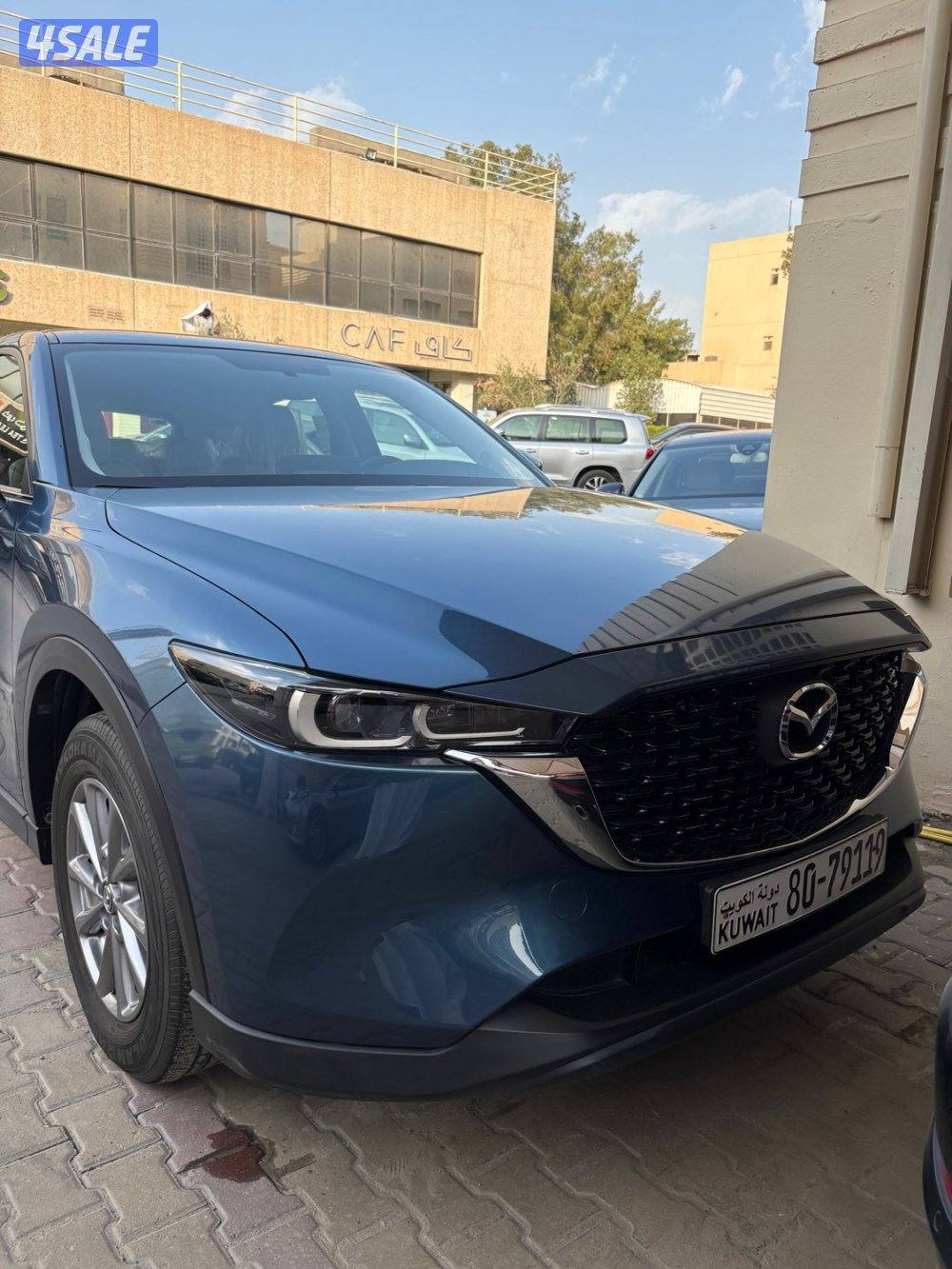 عداد 16 الف صبغ وكالة5