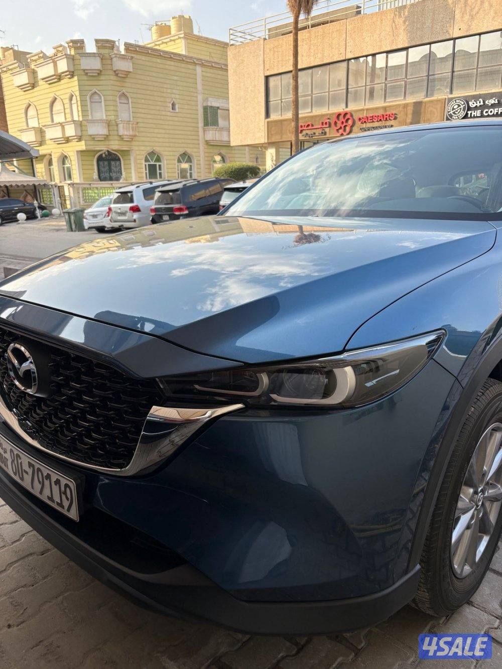 عداد 16 الف صبغ وكالة8