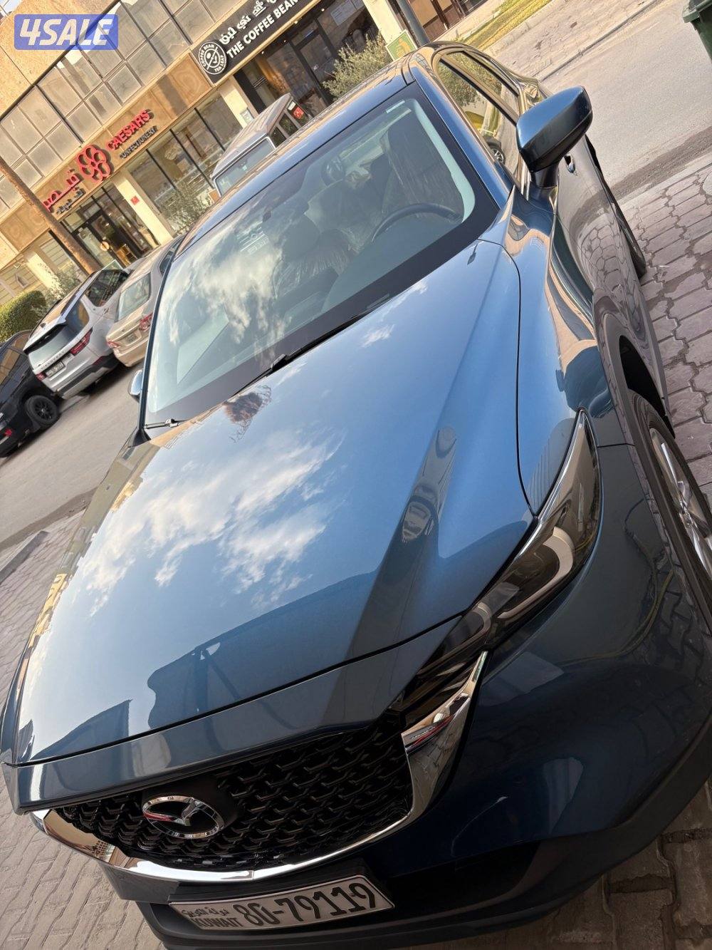 عداد 16 الف صبغ وكالة9