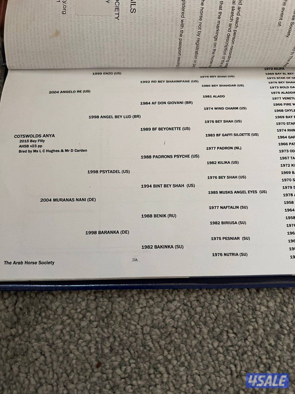 للبيع فرس بولش مستورده1