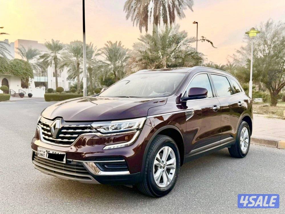 رينو عداد 29 تحت الكفالة 10 سنوات0