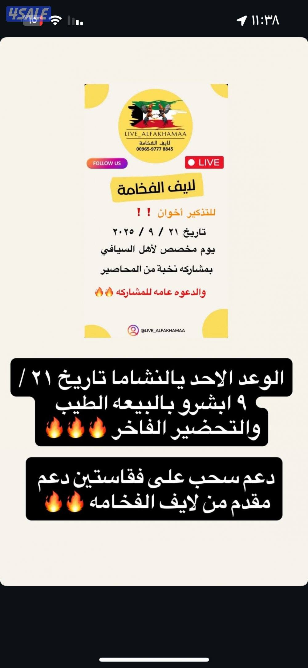 تفصال شبوك غنم3