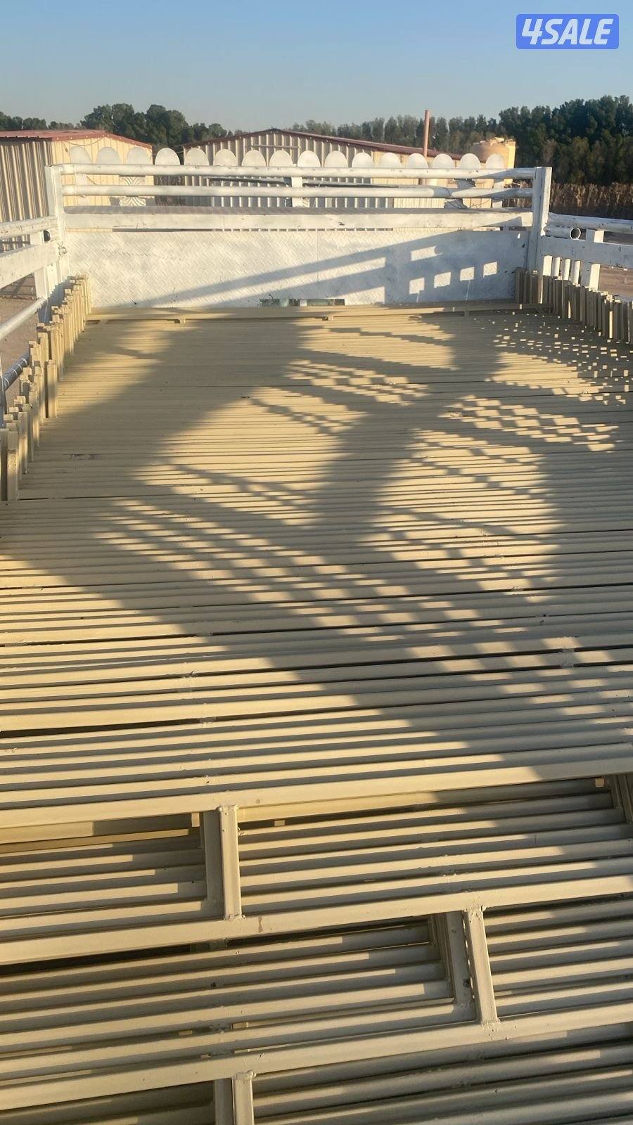 تفصال شبوك غنم5