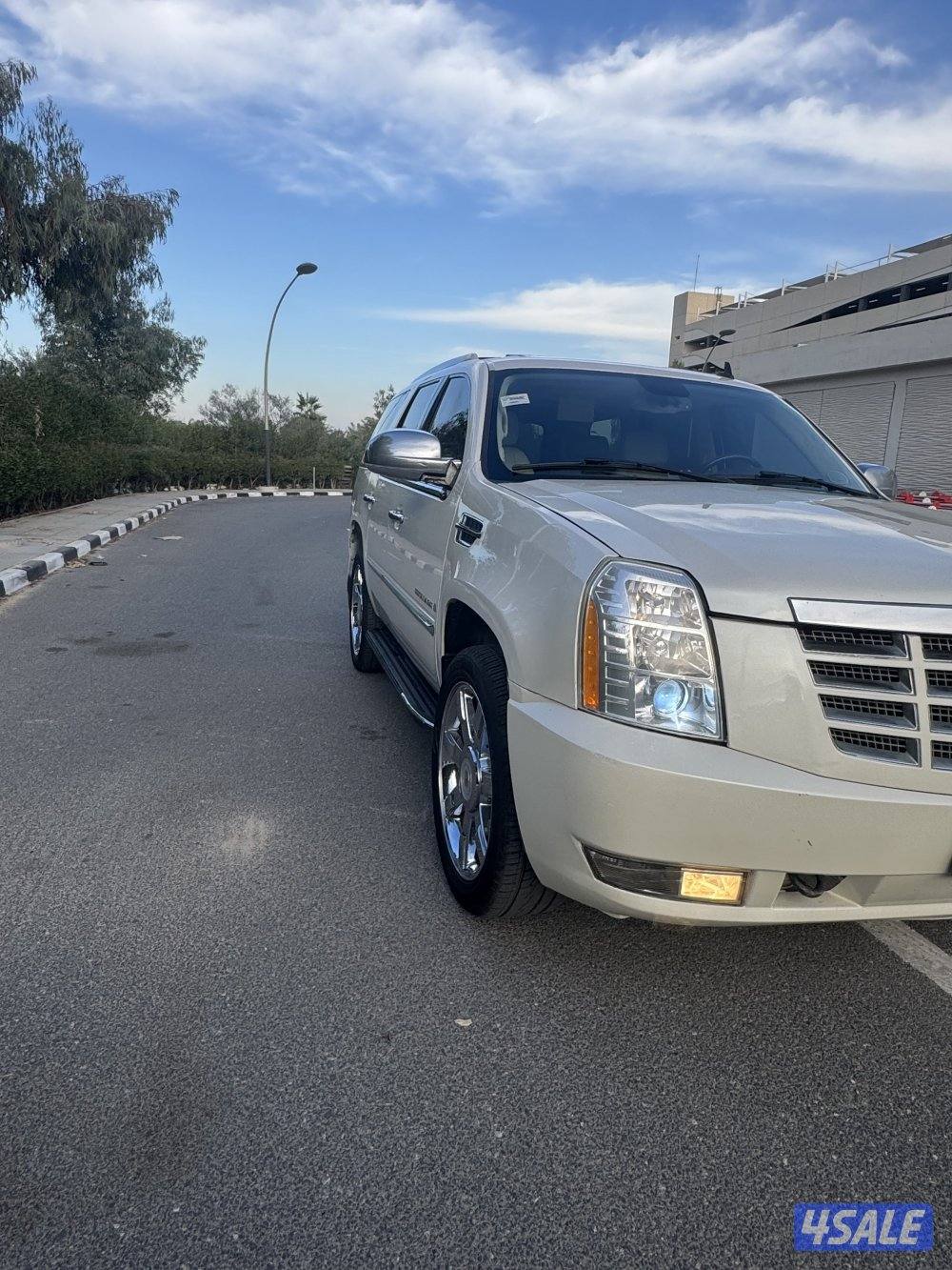 سكاليد ماشي 250 الف كيلو2