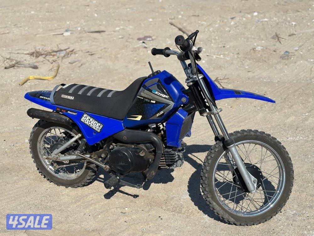 YAMAHA pw802