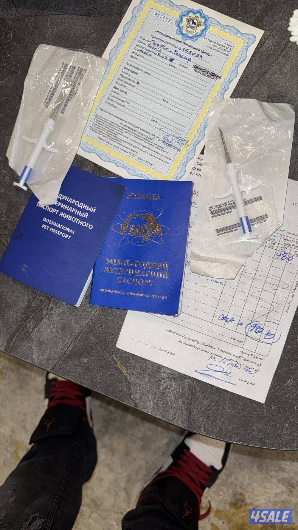 أهل نوادر بودل تي كب ألوان نادره🔥🔥2