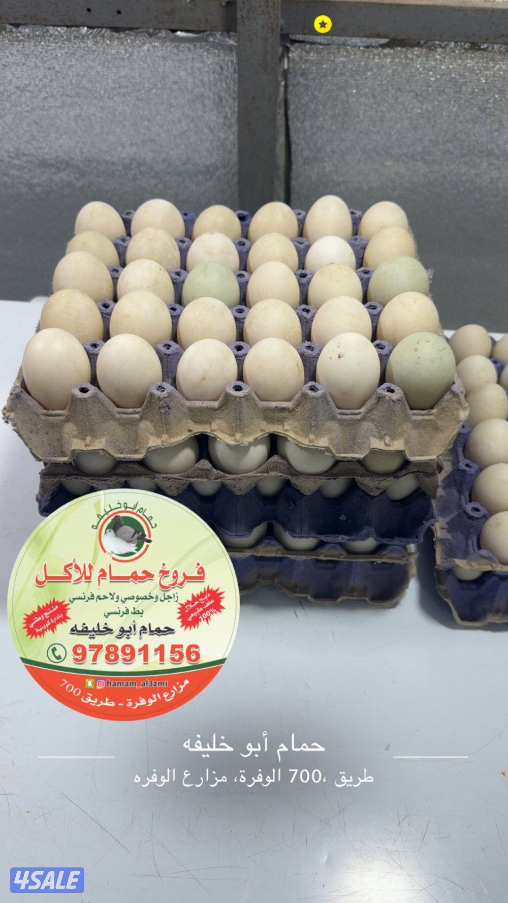 للبيع اطباق بيض بط فرنسي جامبو1