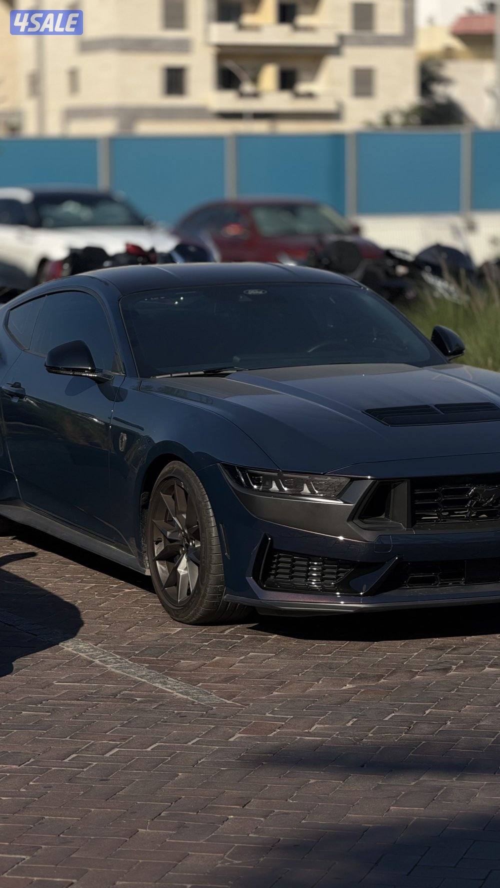 موستانق/ دارك هورس 2025 ⭕️dark horse⭕️ الي يدور النظيف11