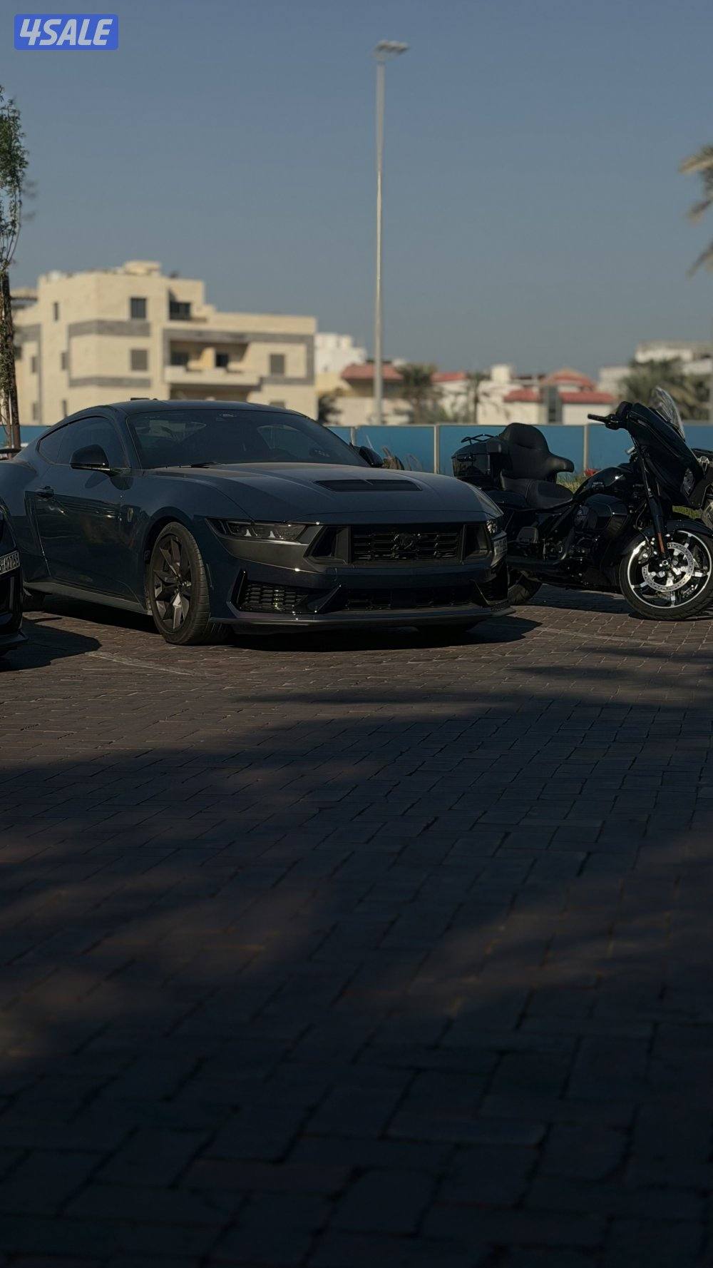 موستانق/ دارك هورس 2025 ⭕️dark horse⭕️ الي يدور النظيف12