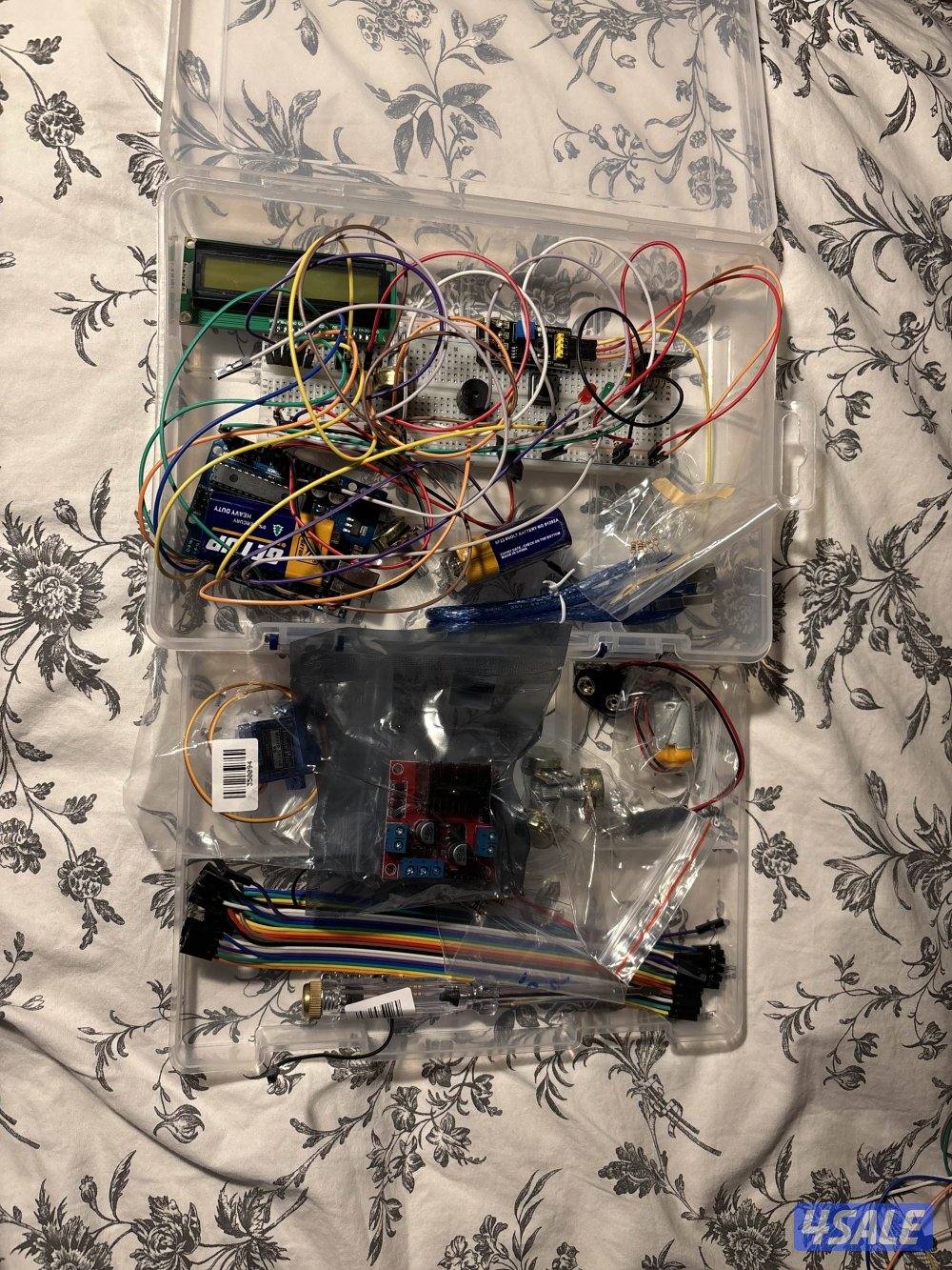 الصباحية الصباحية الصباحية0