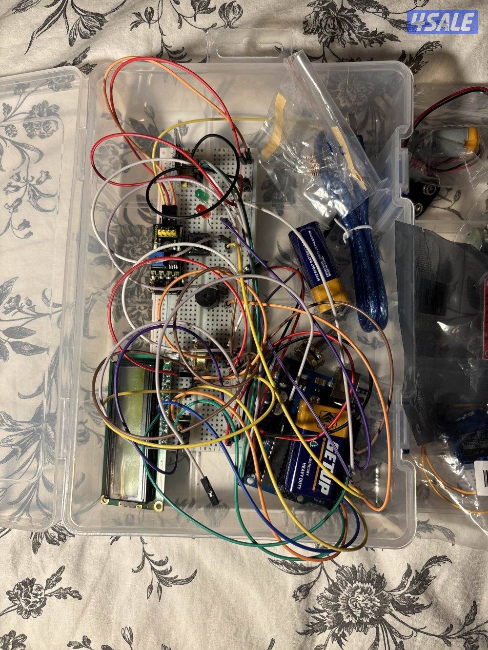 الصباحية الصباحية الصباحية1