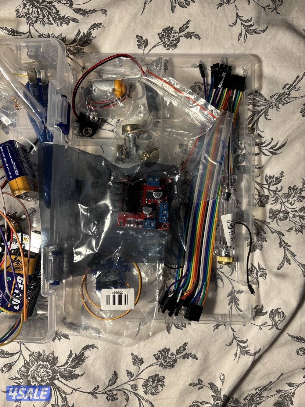 الصباحية الصباحية الصباحية2