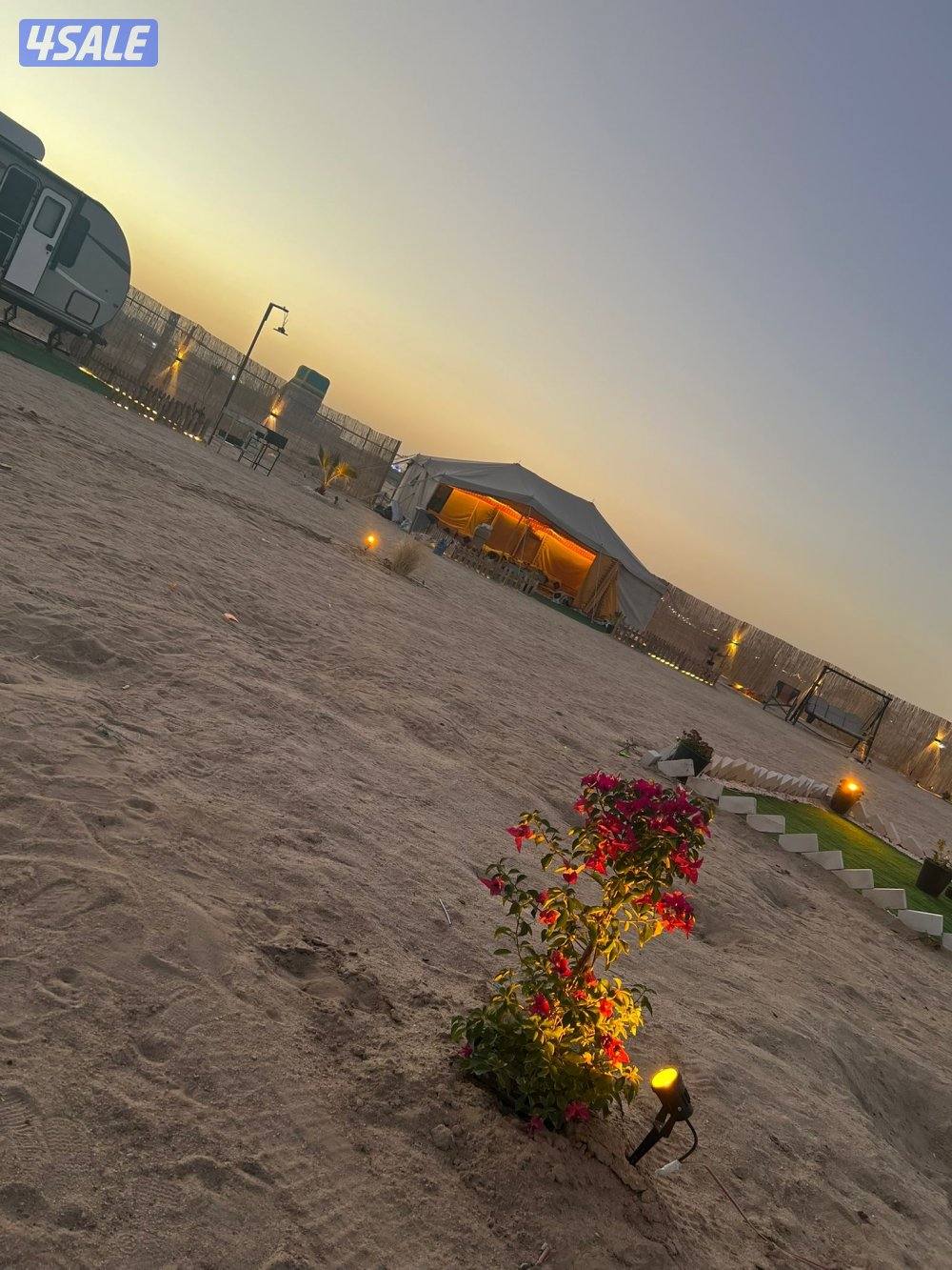 AL DANA - camp ⛺️3