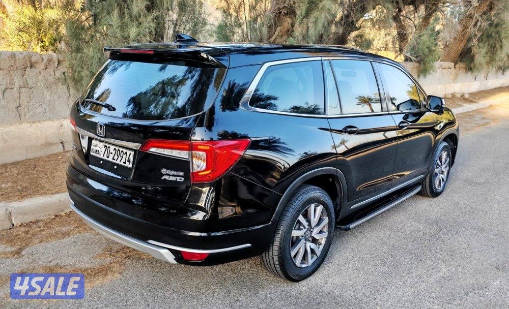 بايلوت - 20223