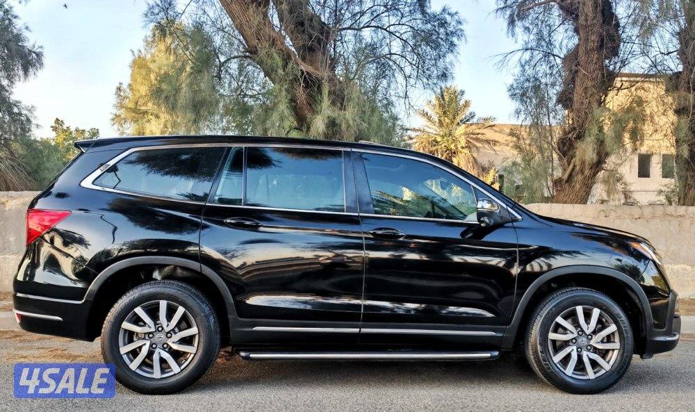 بايلوت - 20224