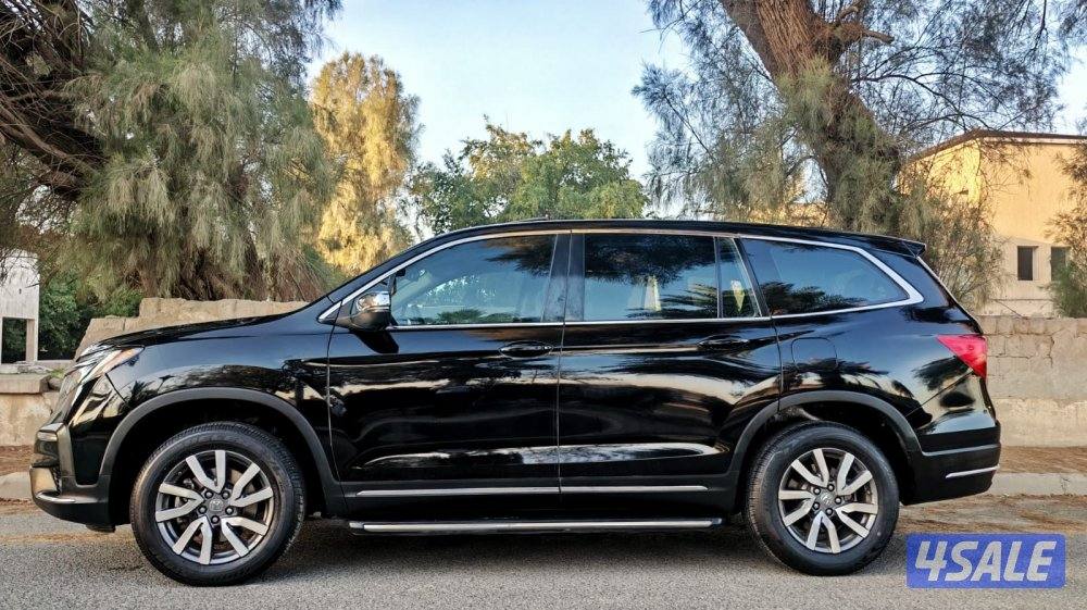 بايلوت - 20225