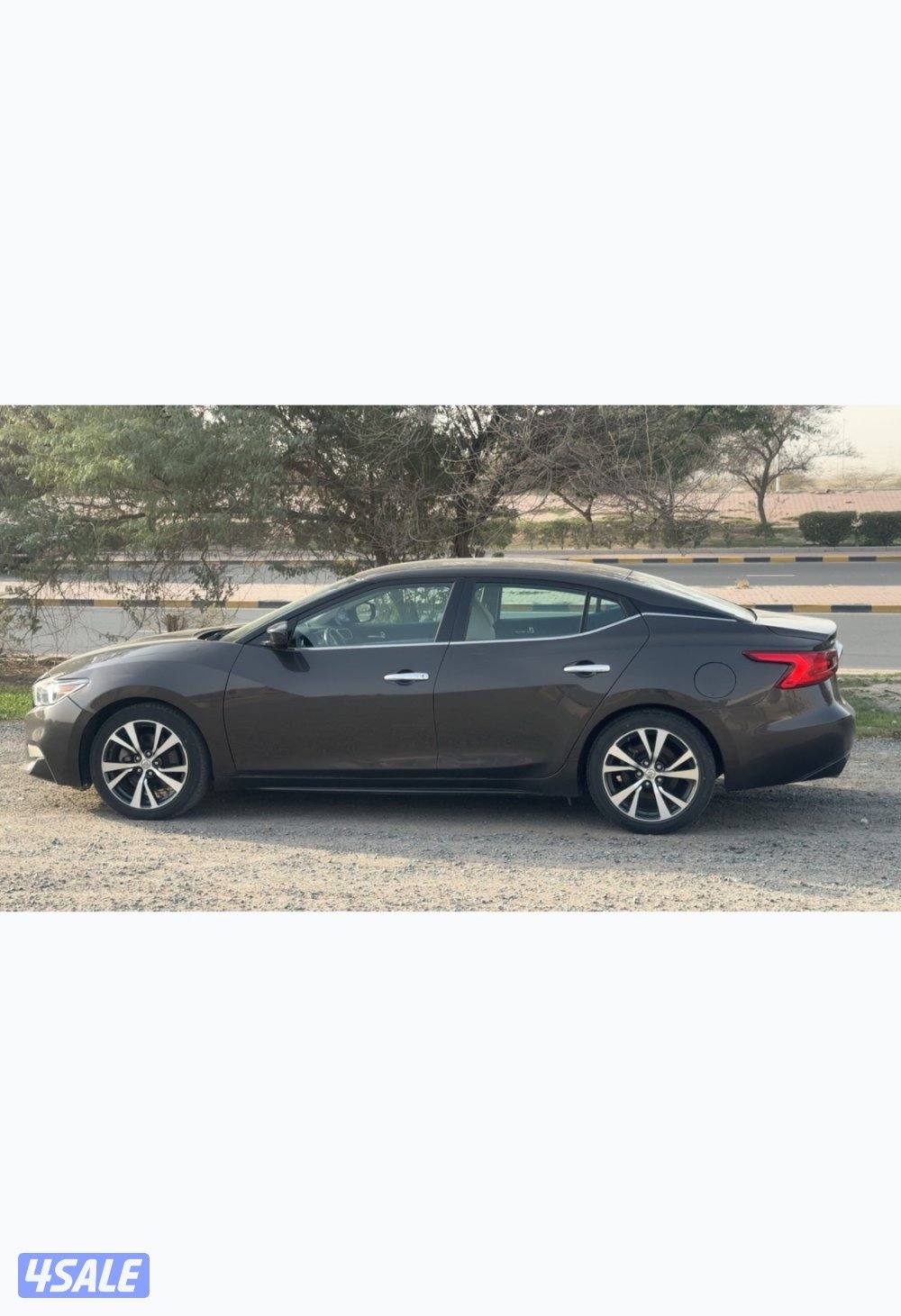 الجهراء العيون0