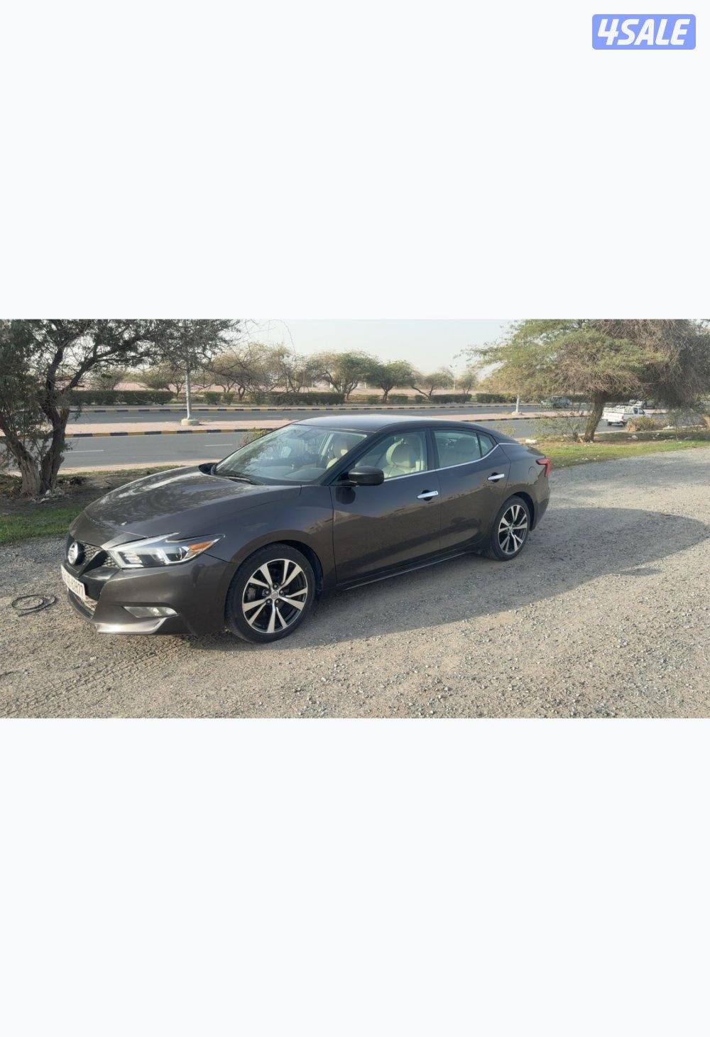 الجهراء العيون1