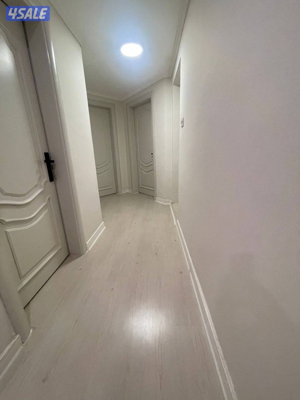 شقه في بيان7