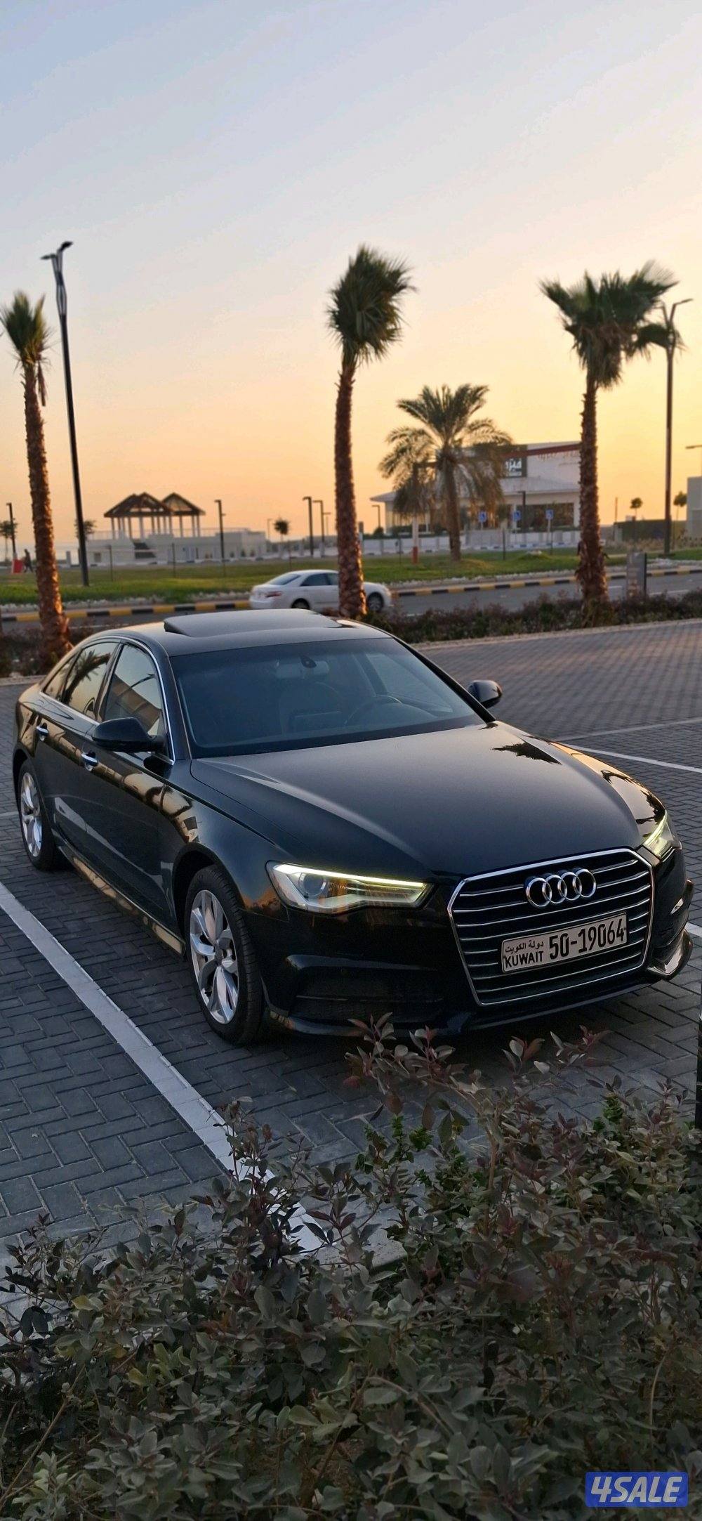 الشعب البحري1