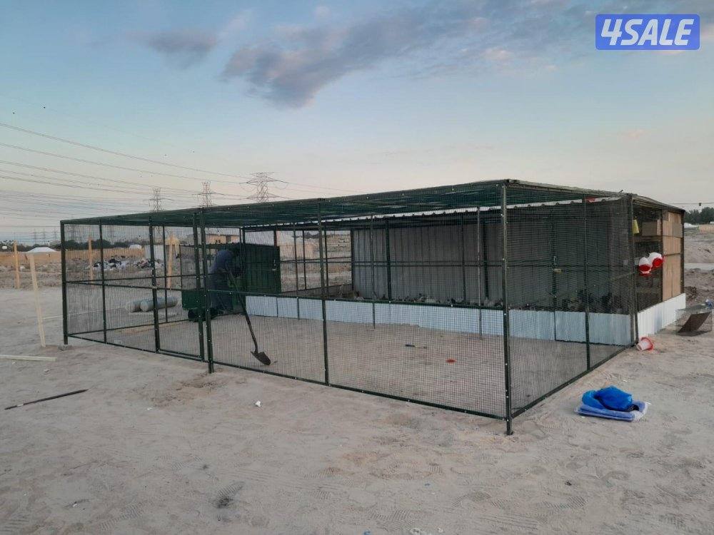 جميع انواع الحدادي5