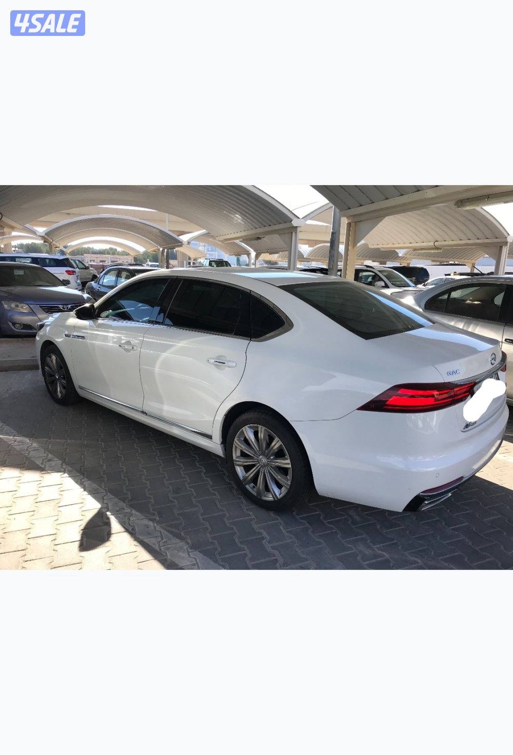 صبغ الوكالة 20221