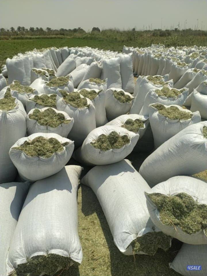 برسيم عراقي أكياس2