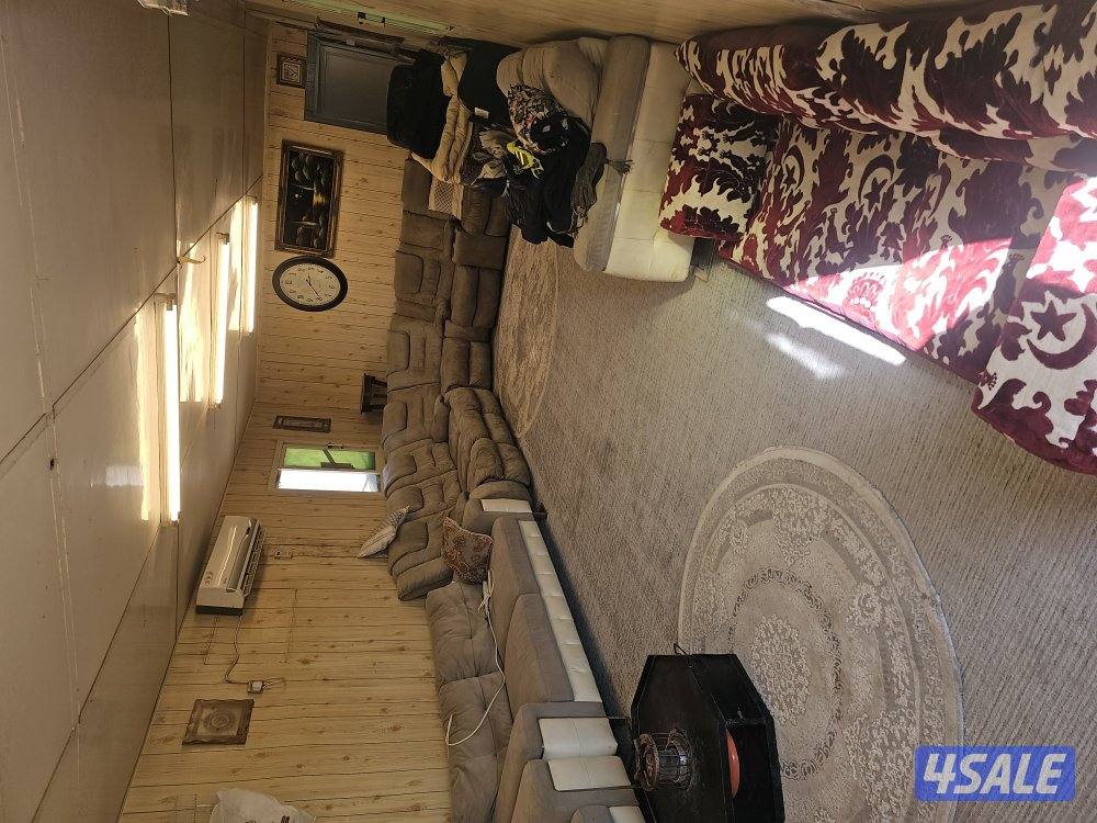 شالية ثابت1