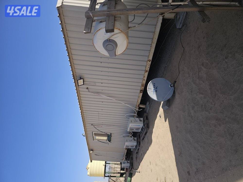 شالية ثابت3